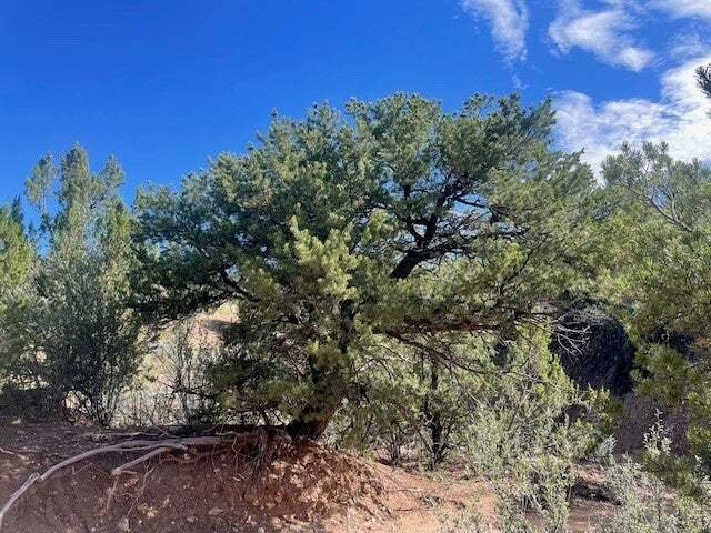 Land in Santa Fe, New Mexico, United States 3 - 18189630