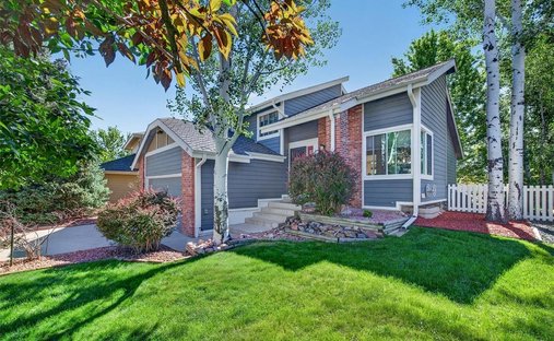 House in Littleton, Colorado, United States 1