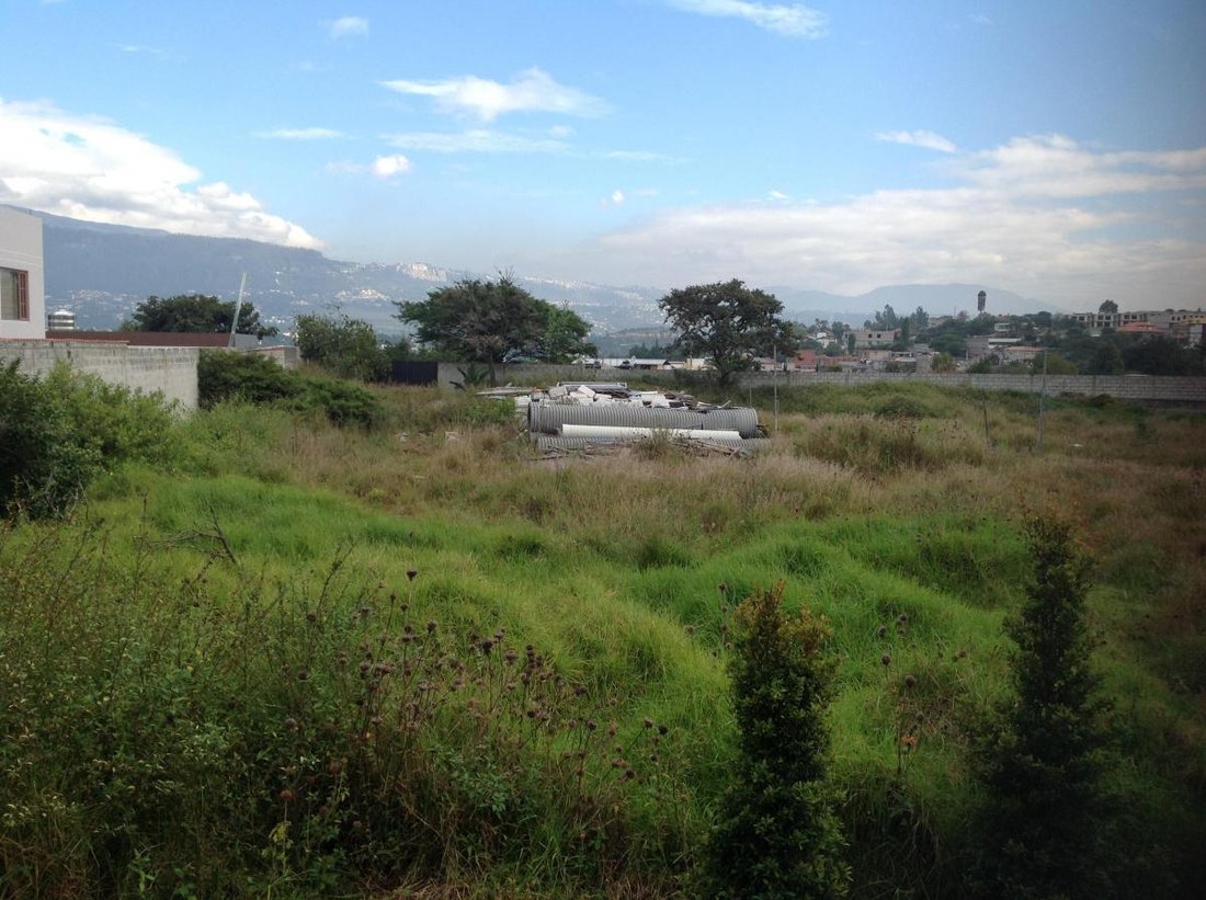 Land in Quito, Pichincha, Ecuador 5 - 18190666