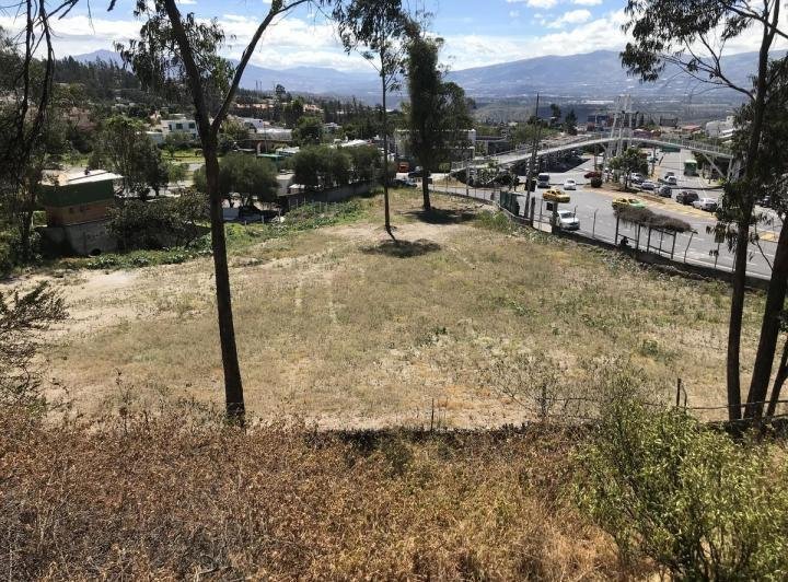Land in Quito, Pichincha, Ecuador 1 - 18190696