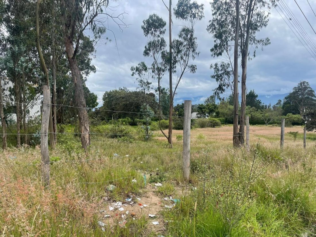Land in Quito, Pichincha, Ecuador 2 - 18190687