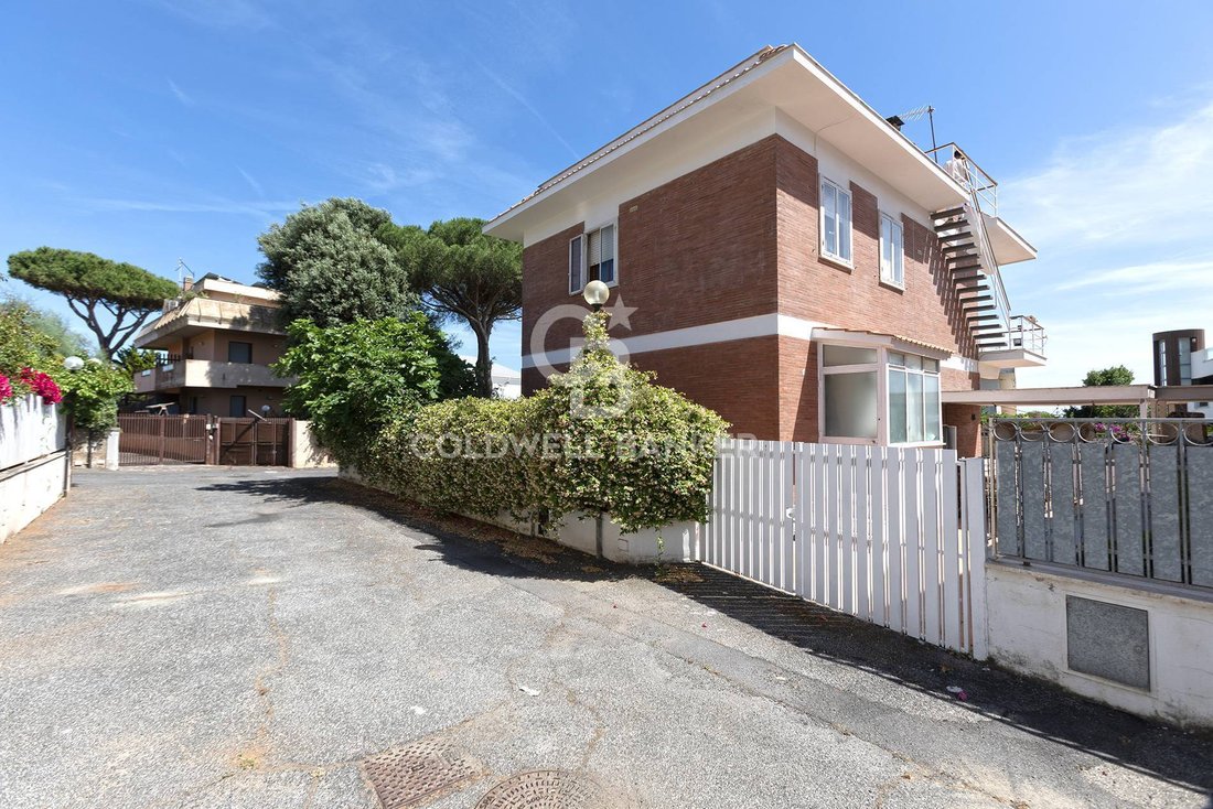 Villa in Südlicher Bereich - Grottacce, Santa Marinella, Latium 3 - 18195330