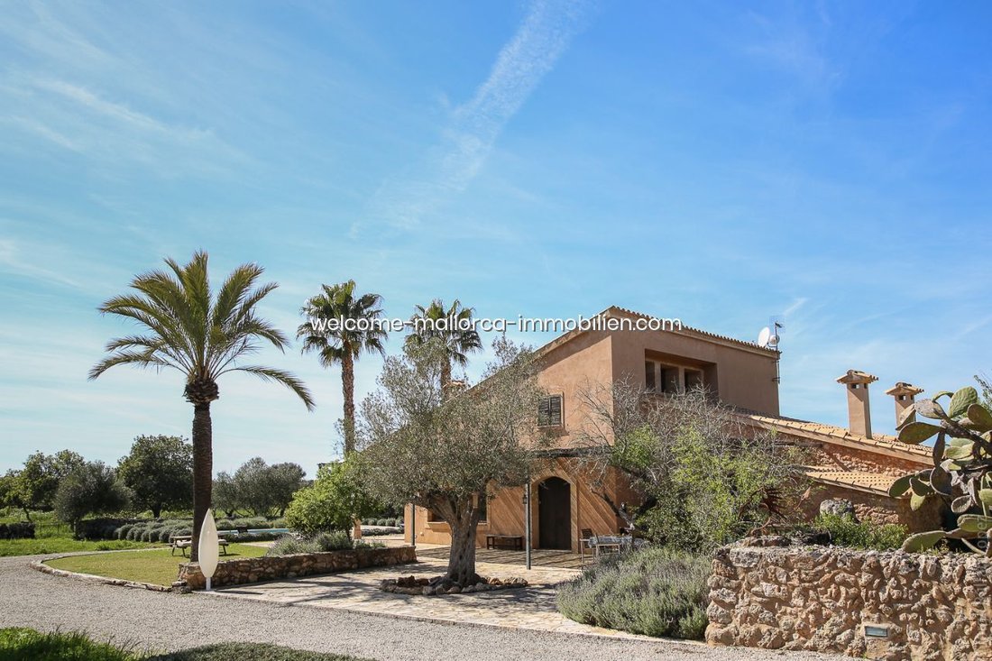 Villa a Muro, Isole Baleari, Spagna 3 - 18191417