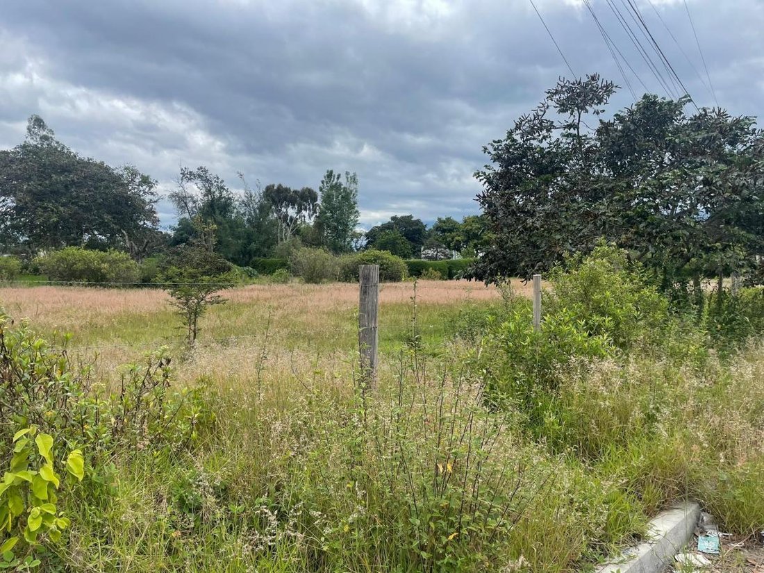 Land in Quito, Pichincha, Ecuador 5 - 18190687