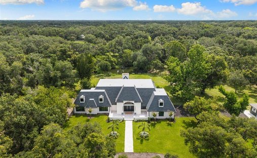 House in Sarasota, Florida, United States 1