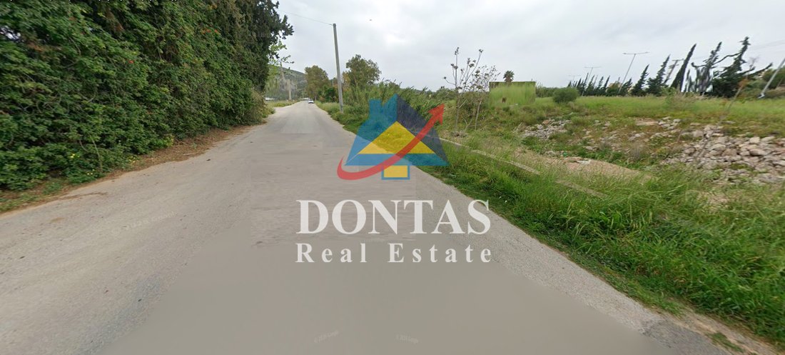 Land in Kropia, Attica, Greece 5 - 16155625