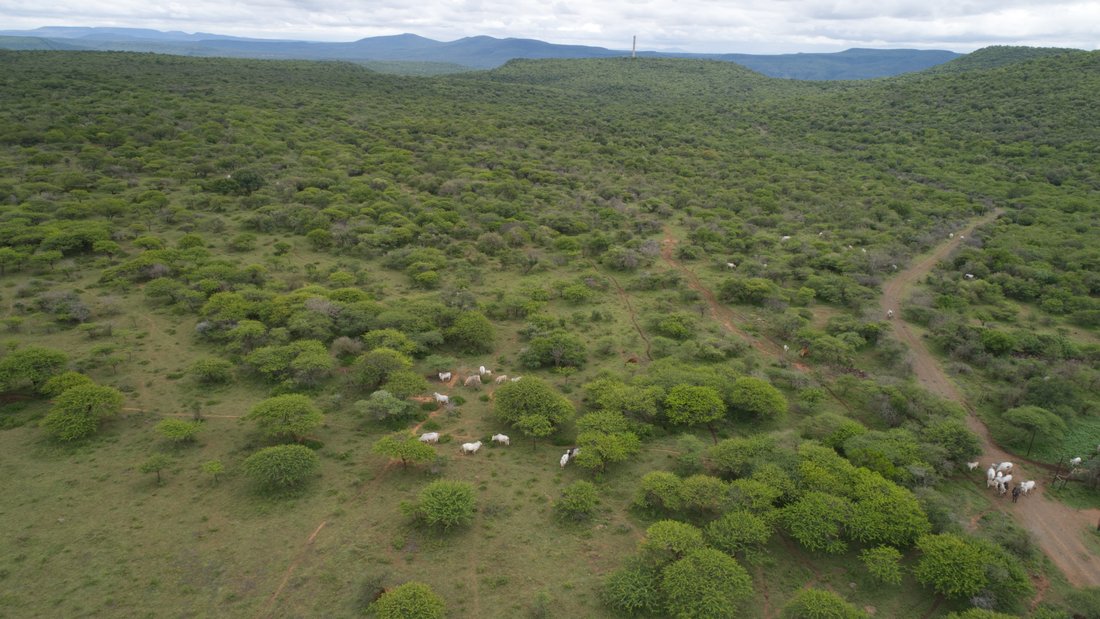 Farm Ranch in Estcourt, KwaZulu-Natal, South Africa 3 - 18190750