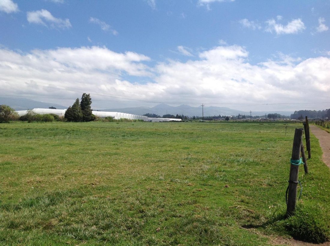 Estate in Tanicuchi, Cotopaxi, Ecuador 2 - 18190688