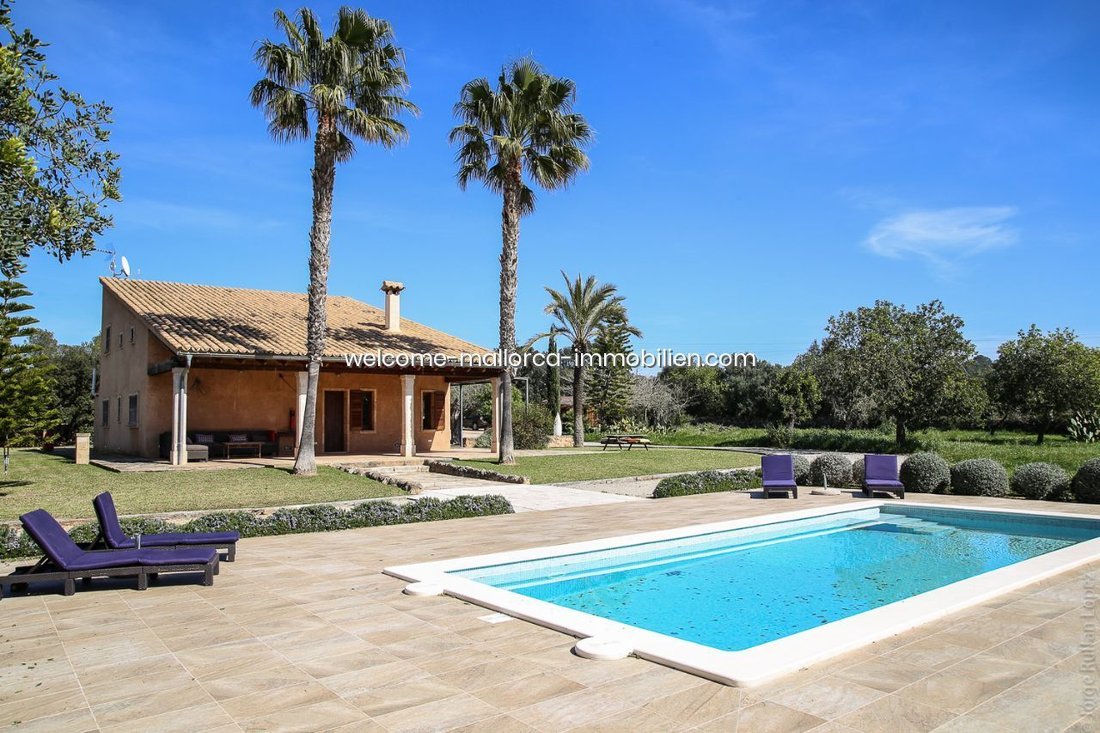 Villa a Muro, Isole Baleari, Spagna 1 - 18191417