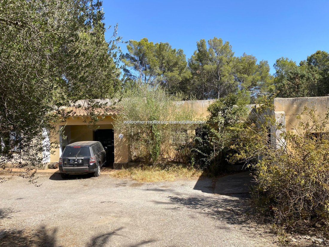 Land in Son Vida, Palma, Balearic Islands 4 - 18191340
