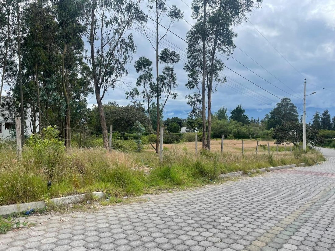 Land in Quito, Pichincha, Ecuador 1 - 18190687