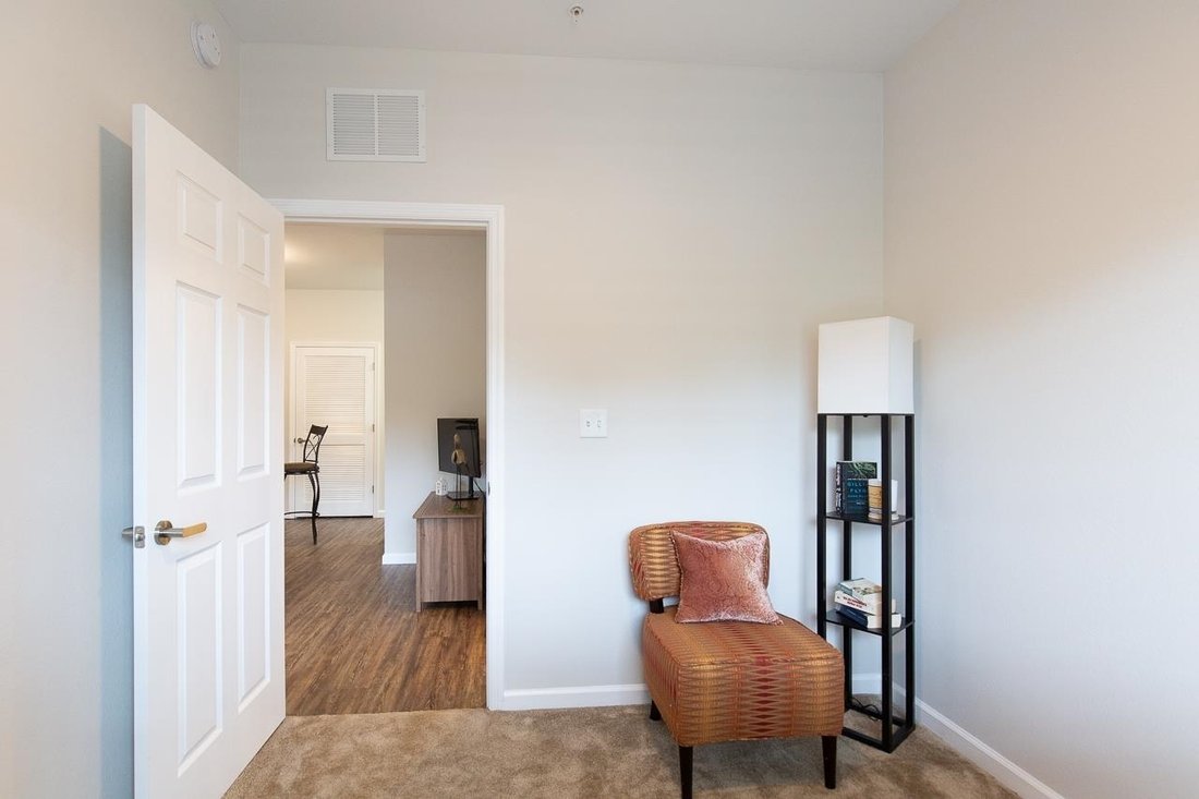 Tallahassee, Florida, United States 5 - 18193288