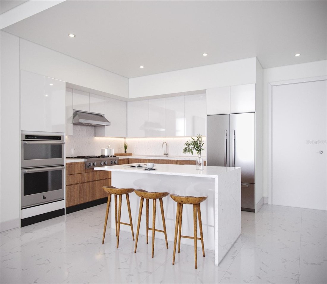 Condo in St. Petersburg, Florida, United States 3 - 18192796