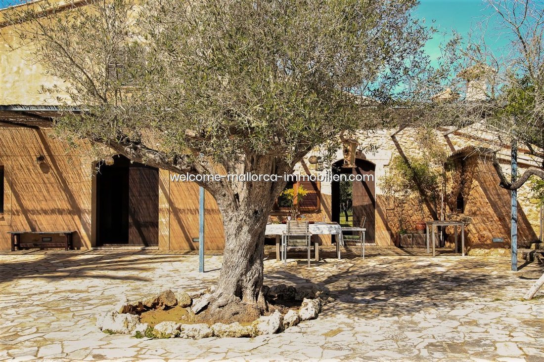 Villa a Muro, Isole Baleari, Spagna 5 - 18191417