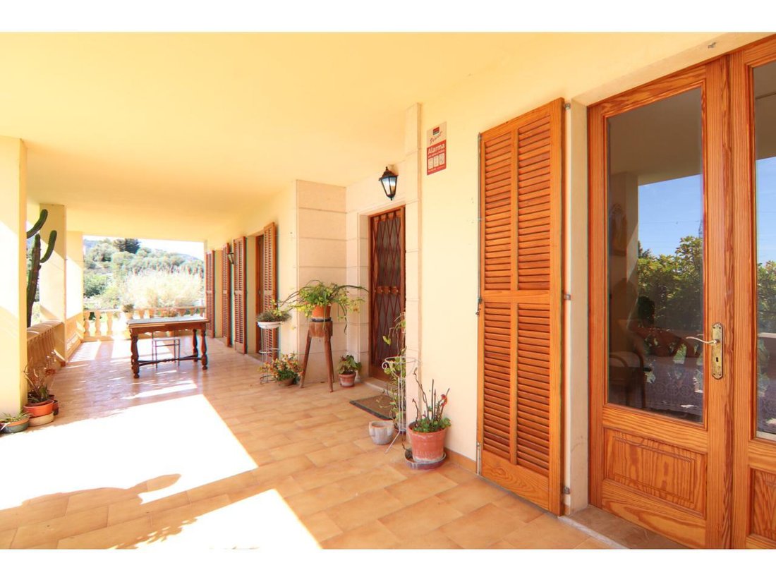 Country House in Inca, Balearic Islands, Spain 3 - 18192024