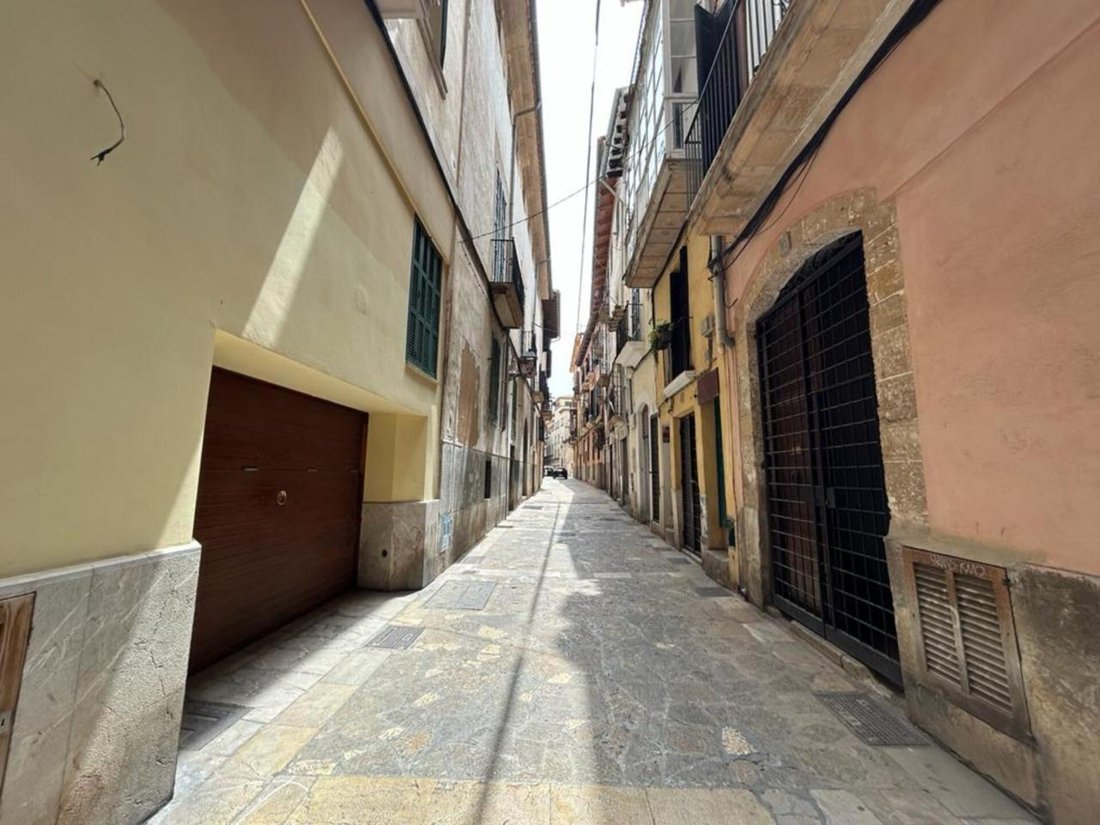 Apartment in Palma, Balearic Islands, Spain 4 - 18192587