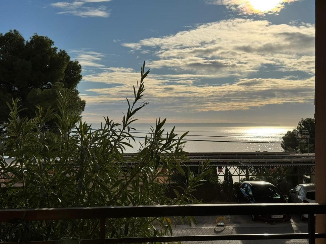 Apartment in Cas Catala, Calvia, Balearic Islands 1 - 18192738