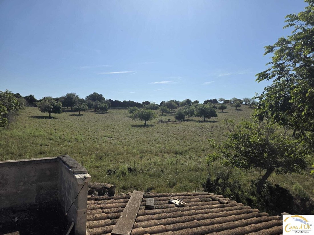 Estate in Sant Llorenc des Cardassar, Balearic Islands, Spain 2 - 18192112