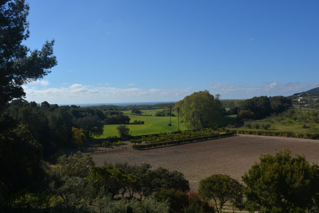 Finca in Son Servera, Balearic Islands, Spain 5 - 18192286