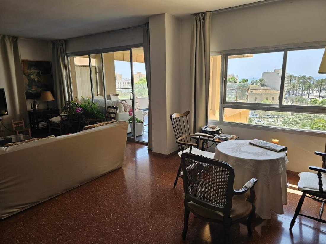 Apartment in Palma, Balearic Islands, Spain 5 - 18192519