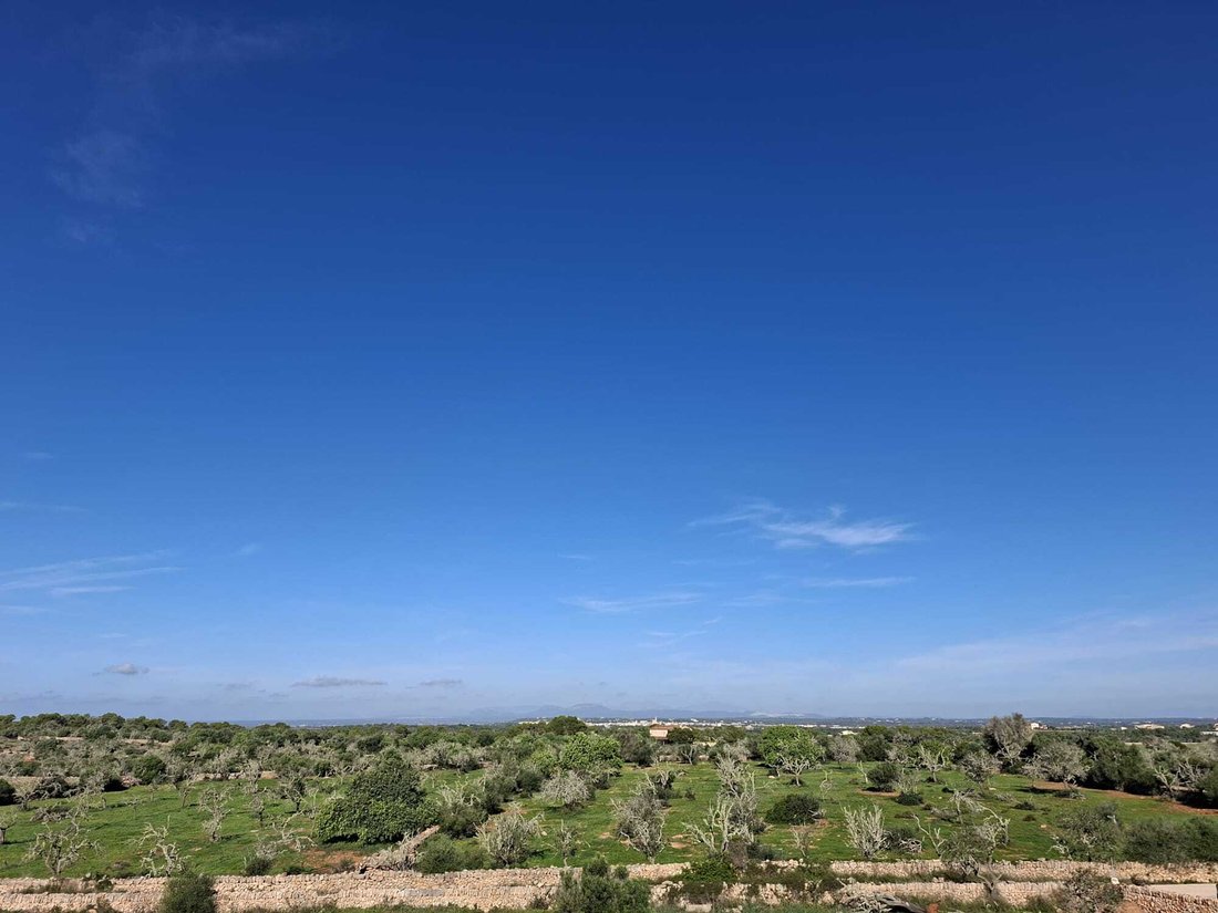 Finca in ses Salines, Balearic Islands, Spain 5 - 18191656