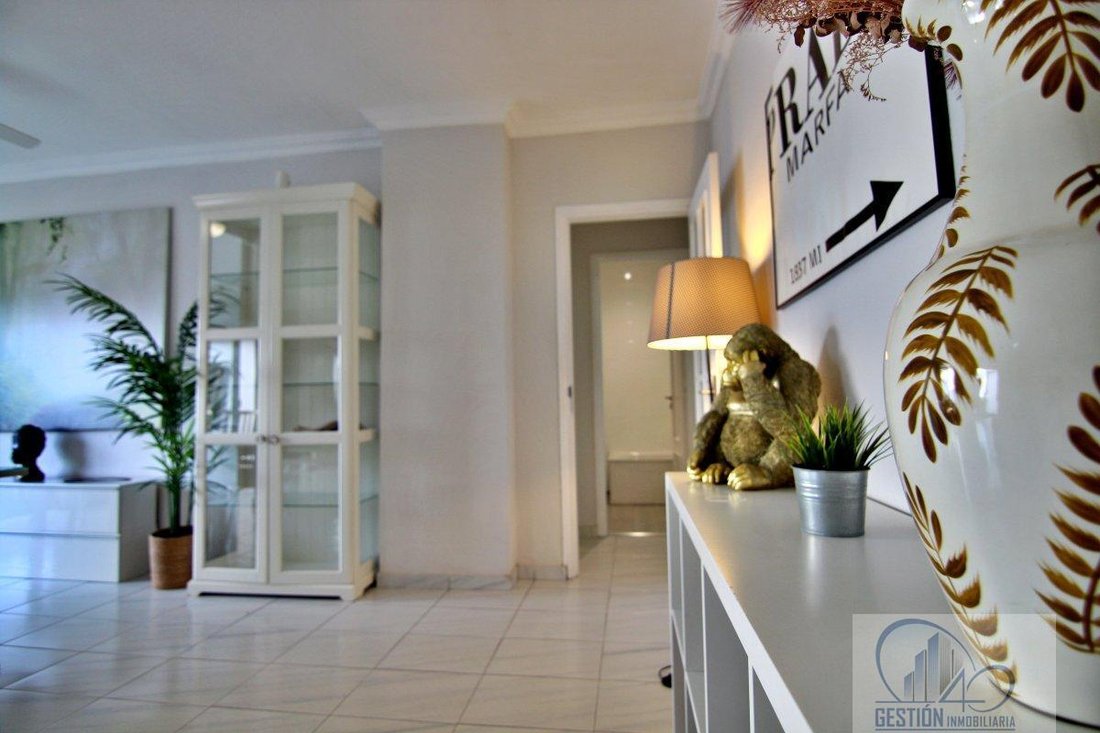 Apartment in Centro-Ifara, Santa Cruz De Tenerife, Spain 1 - 17321086