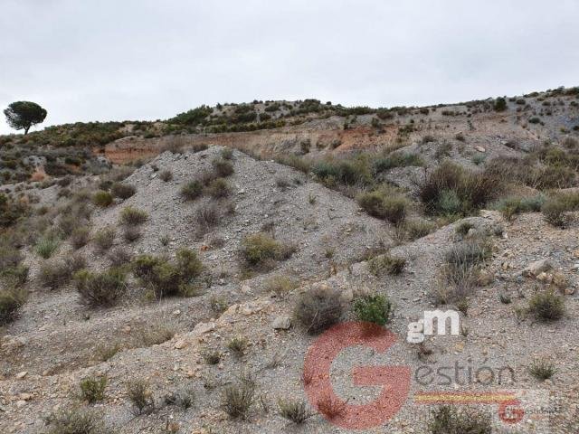 Land in Velez de Benaudalla, Andalusia, Spain 5 - 16934020