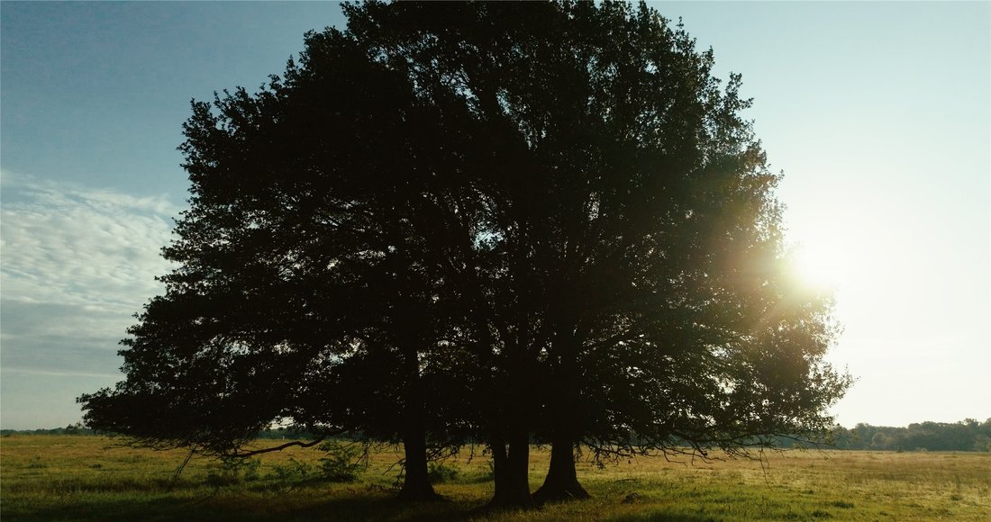 Land in Wills Point, Texas, United States 4 - 18196113