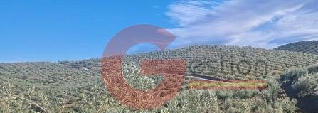 Finca in Castril, Andalusia, Spain 5 - 16934269