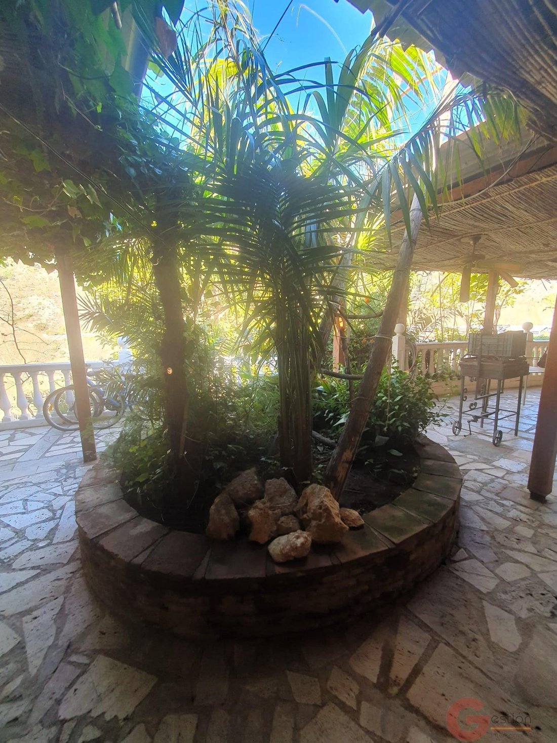 Finca in Velez de Benaudalla, Andalusia, Spain 4 - 16933498