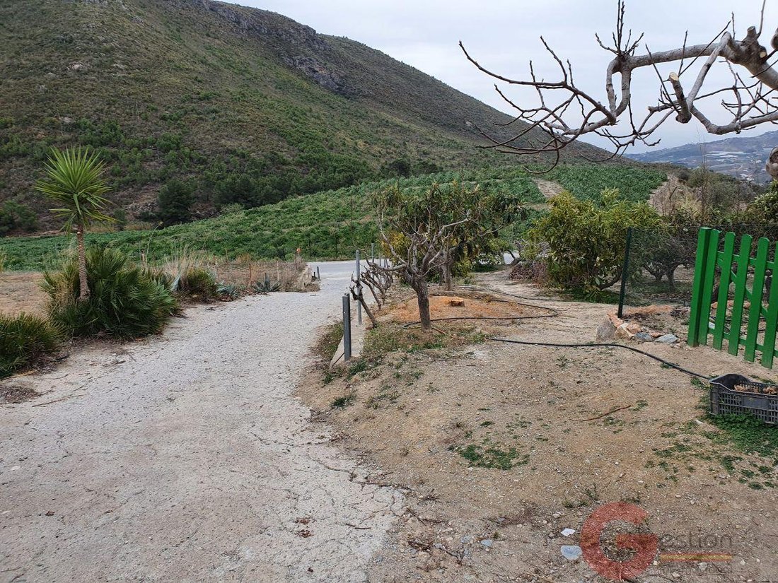 Finca in Molvizar, Andalusia, Spain 5 - 16933567