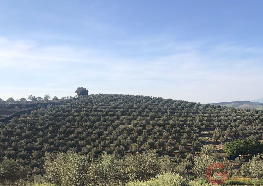 Finca in Castril, Andalusia, Spain 1 - 16934269