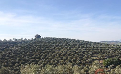 Finca a Castril, Andalusia, Spagna 1