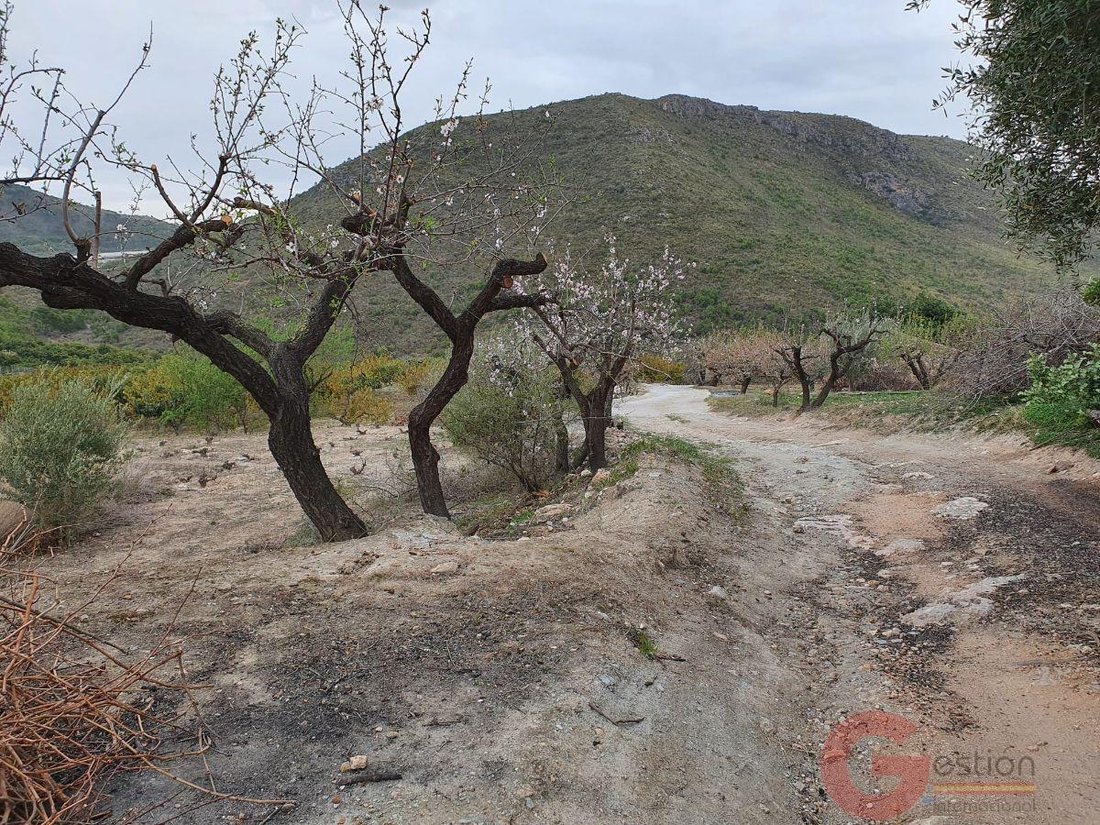 Finca in Molvizar, Andalusia, Spain 4 - 16933567