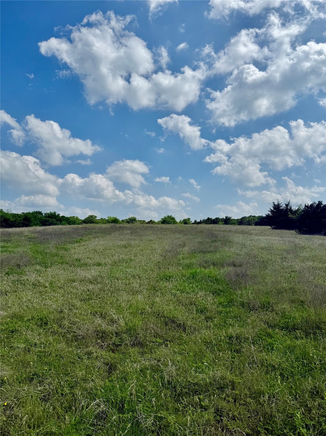 Land in Savoy, Texas, United States 3 - 18196117