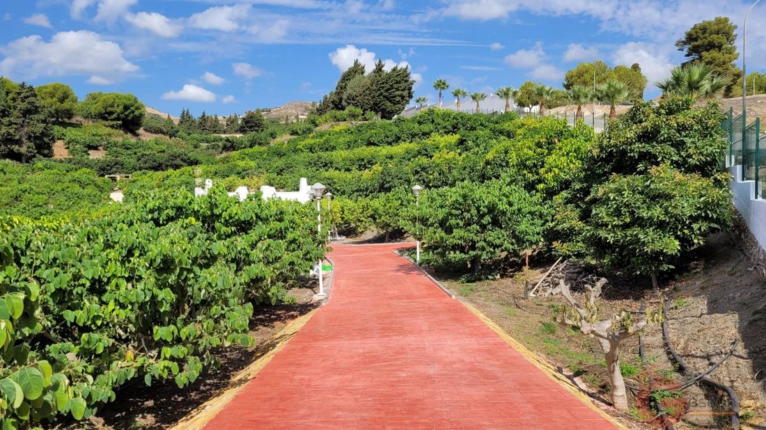 Finca in Salobrena, Andalusia, Spain 2 - 16933999