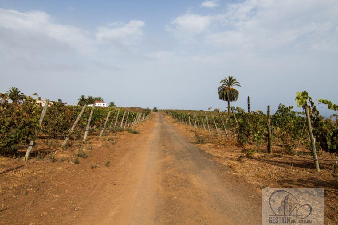 Finca in La Quinta, Canary Islands, Spain 2 - 12142075