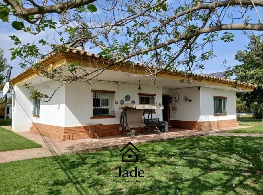 House in Cordoba, Andalusia, Spain 3 - 18196384