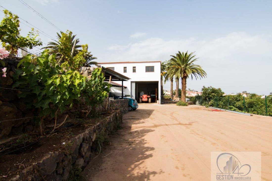 Finca in La Quinta, Canary Islands, Spain 5 - 12142075