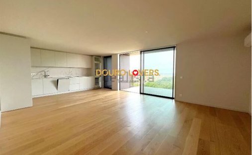 Apartment in Santa Marinha e Sao Pedro da Afurada, Porto District, Portugal 1