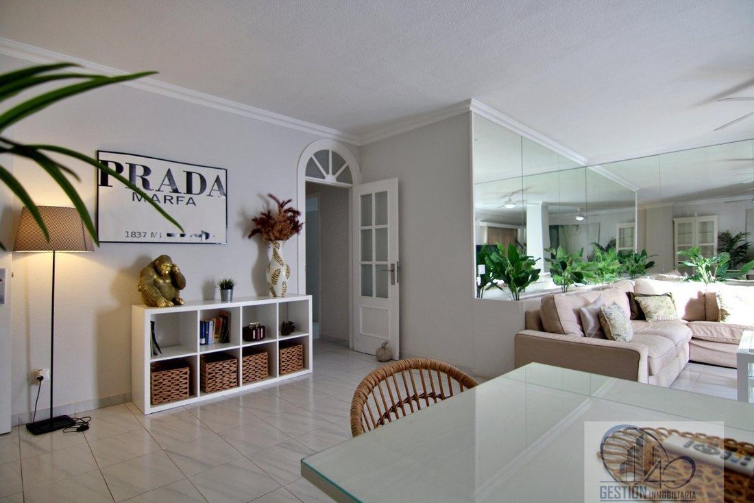 Apartment in Centro-Ifara, Santa Cruz De Tenerife, Spain 4 - 17321086