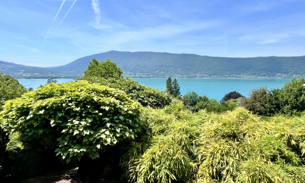 House in Veyrier-du-Lac, Auvergne-Rhône-Alpes, France 1 - 17433550