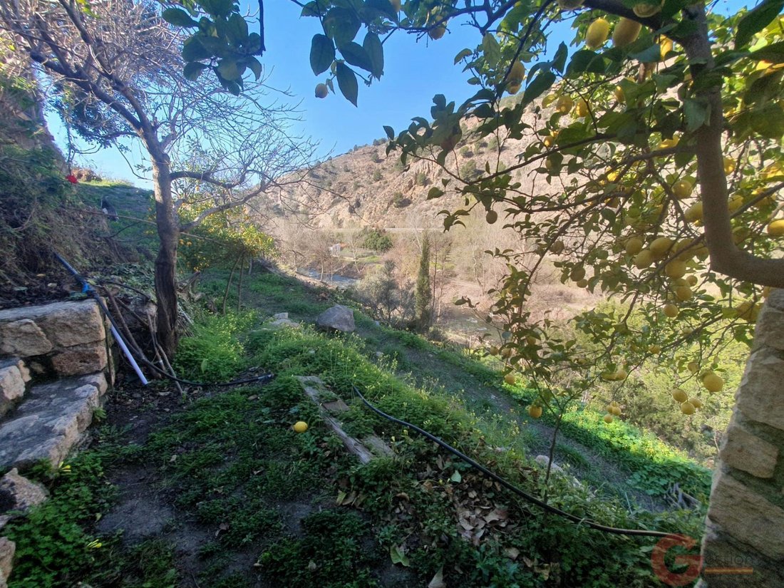 Finca in Velez de Benaudalla, Andalusia, Spain 2 - 16933498