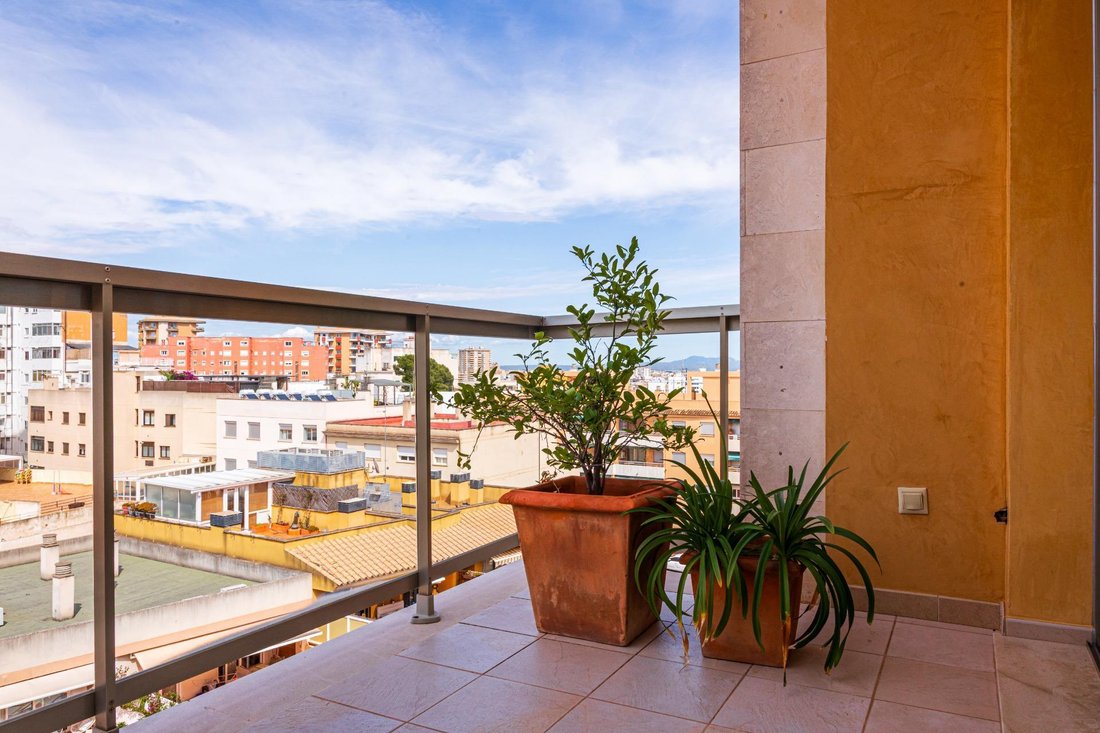 Apartment in Palma, Balearic Islands, Spain 4 - 18196033