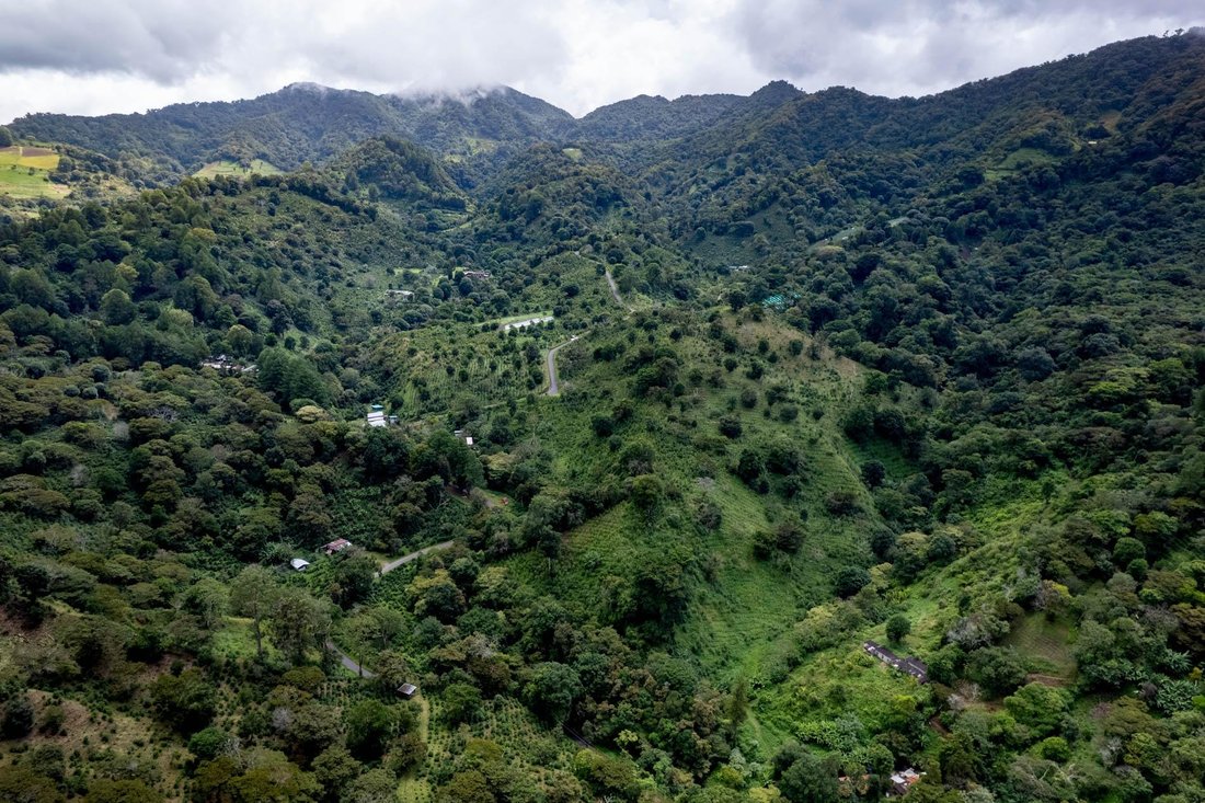 Finca in Los Naranjos, Chiriquí Province, Panama 4 - 18196490
