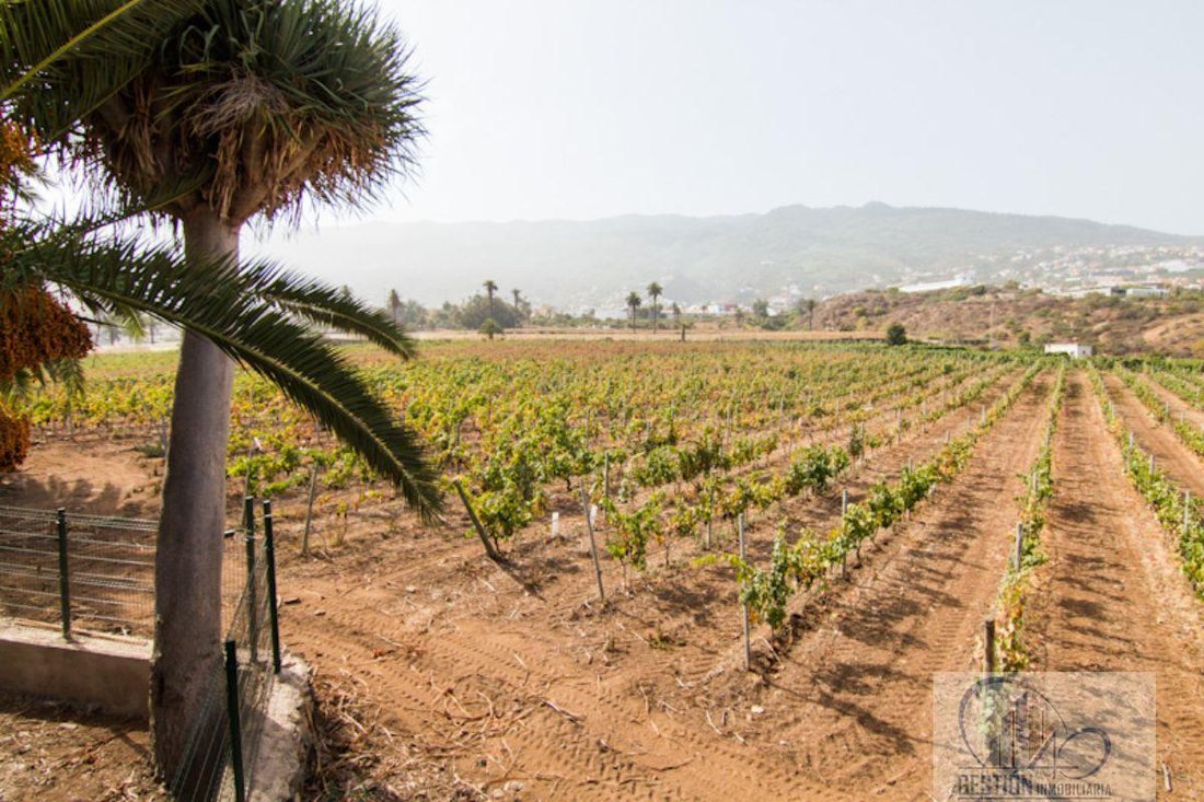 Finca in La Quinta, Canary Islands, Spain 3 - 12142075