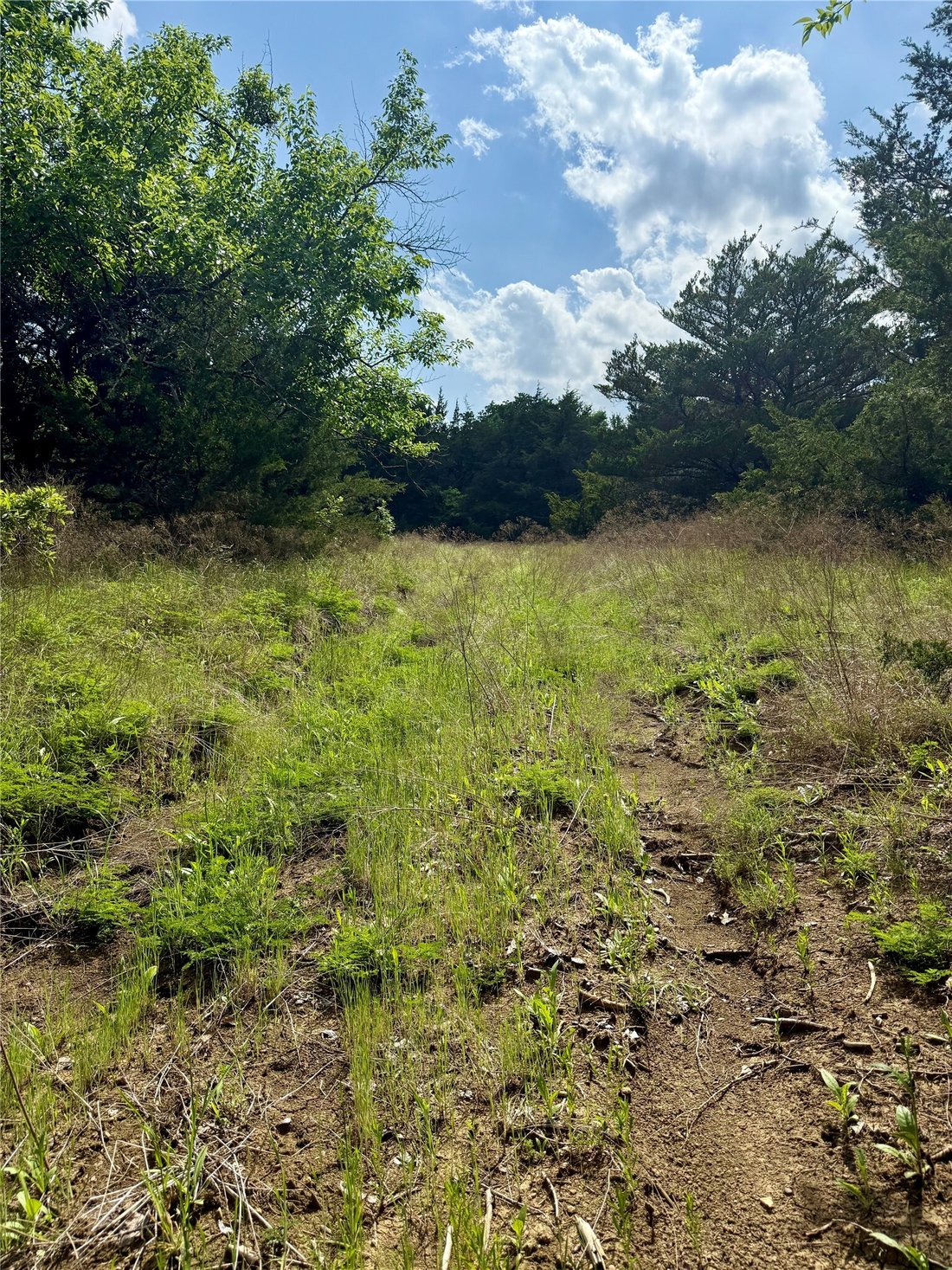 Land in Savoy, Texas, United States 4 - 18196117