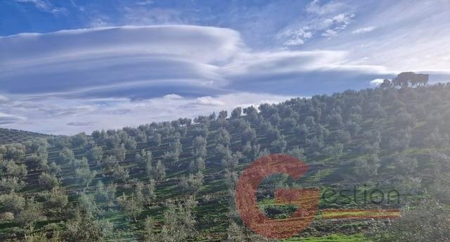 Finca in Castril, Andalusia, Spain 2 - 16934269