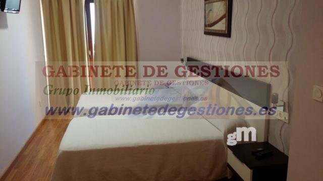 Montealegre del Castillo, Castile-La Mancha, Spain 4 - 13111157