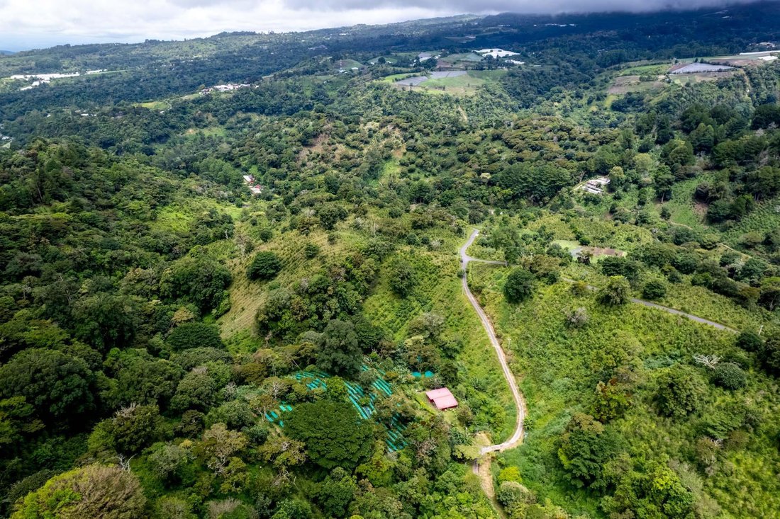 Finca in Los Naranjos, Chiriquí Province, Panama 3 - 18196490